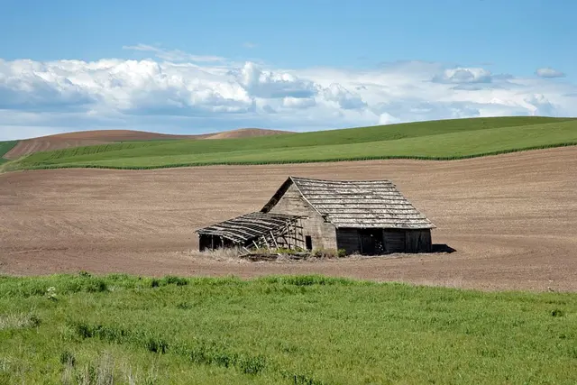 Old barn in a field