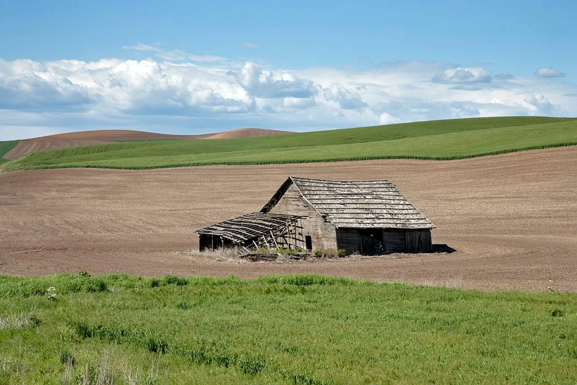Old barn in a field